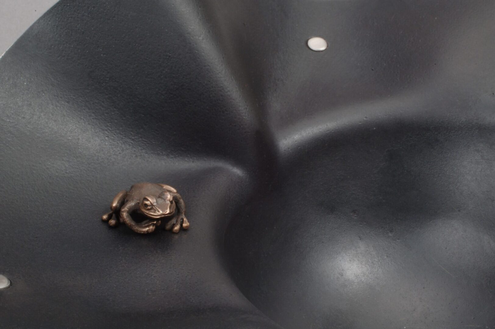 A small frog perched on a black bowl, adorned with Ira Sherman's unique jewelry.